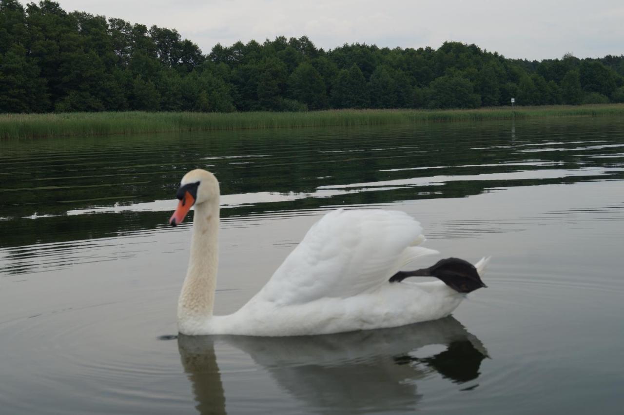 Haus Am See Storkow  Luaran gambar